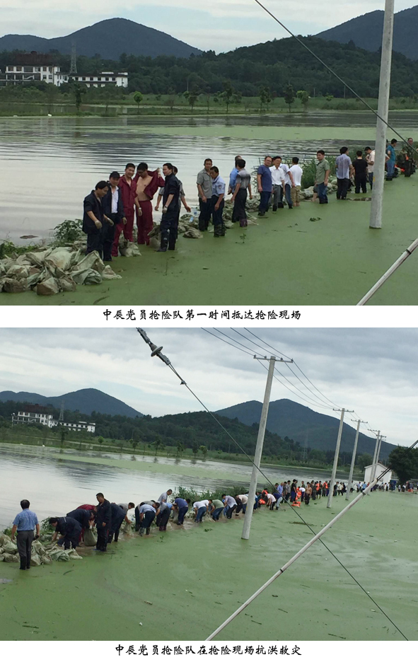 尊凯时龙(中国区)官方网站