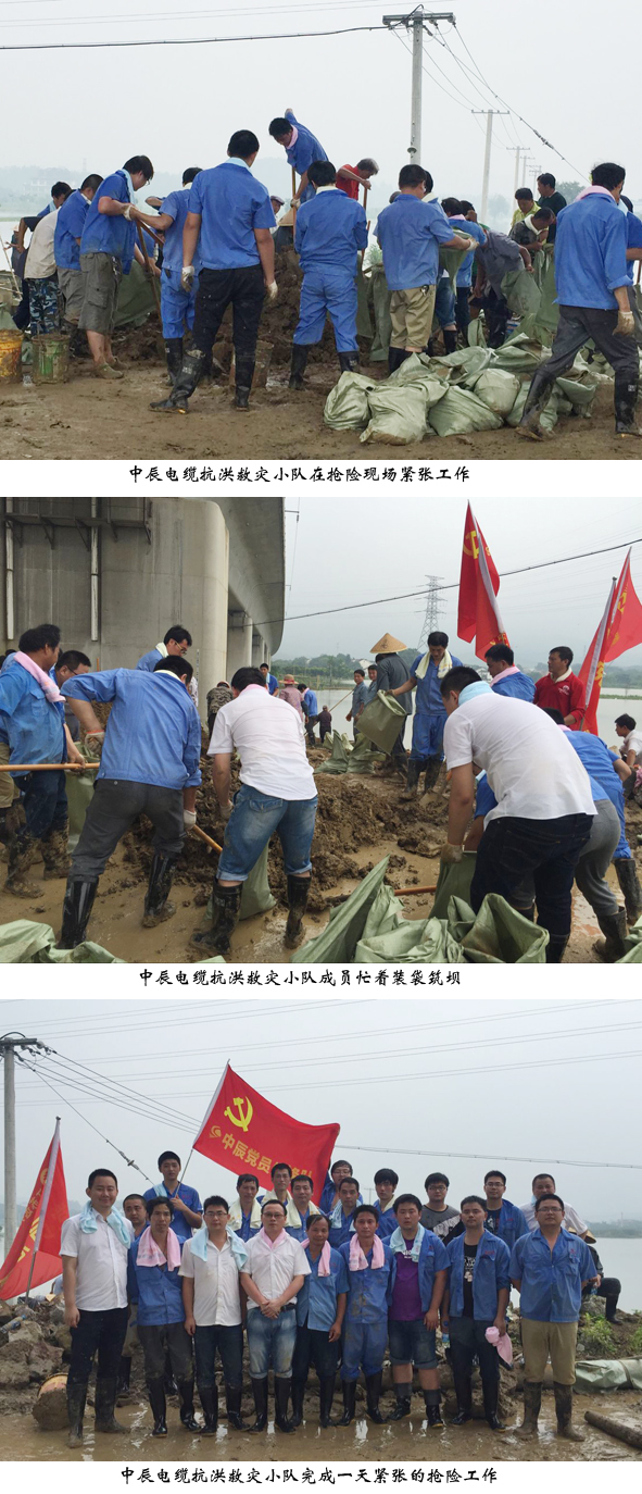 尊凯时龙(中国区)官方网站