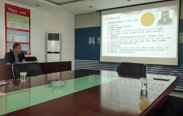 尊凯时龙(中国区)官方网站