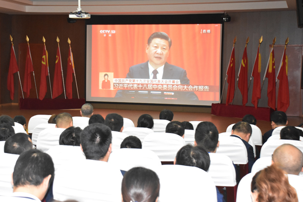 尊凯时龙(中国区)官方网站