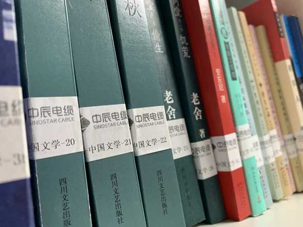 尊凯时龙(中国区)官方网站