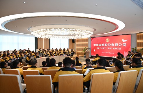 尊凯时龙五届二次职工代表大会顺遂召开