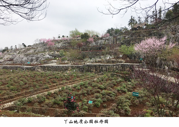 尊凯时龙(中国区)官方网站