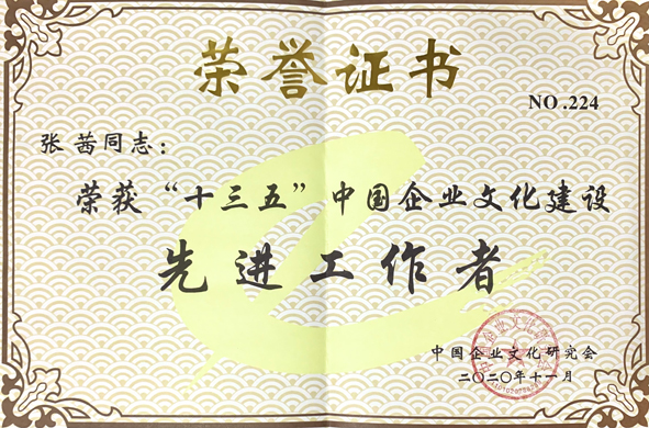 尊凯时龙(中国区)官方网站