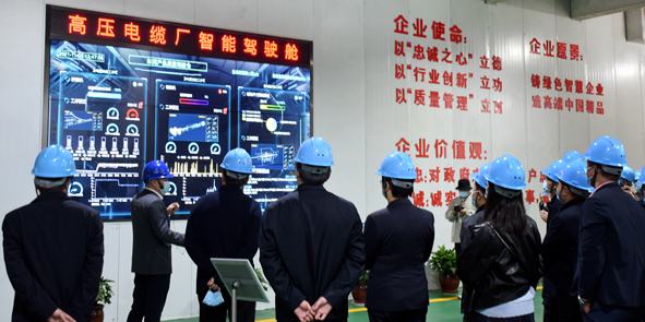 尊凯时龙(中国区)官方网站