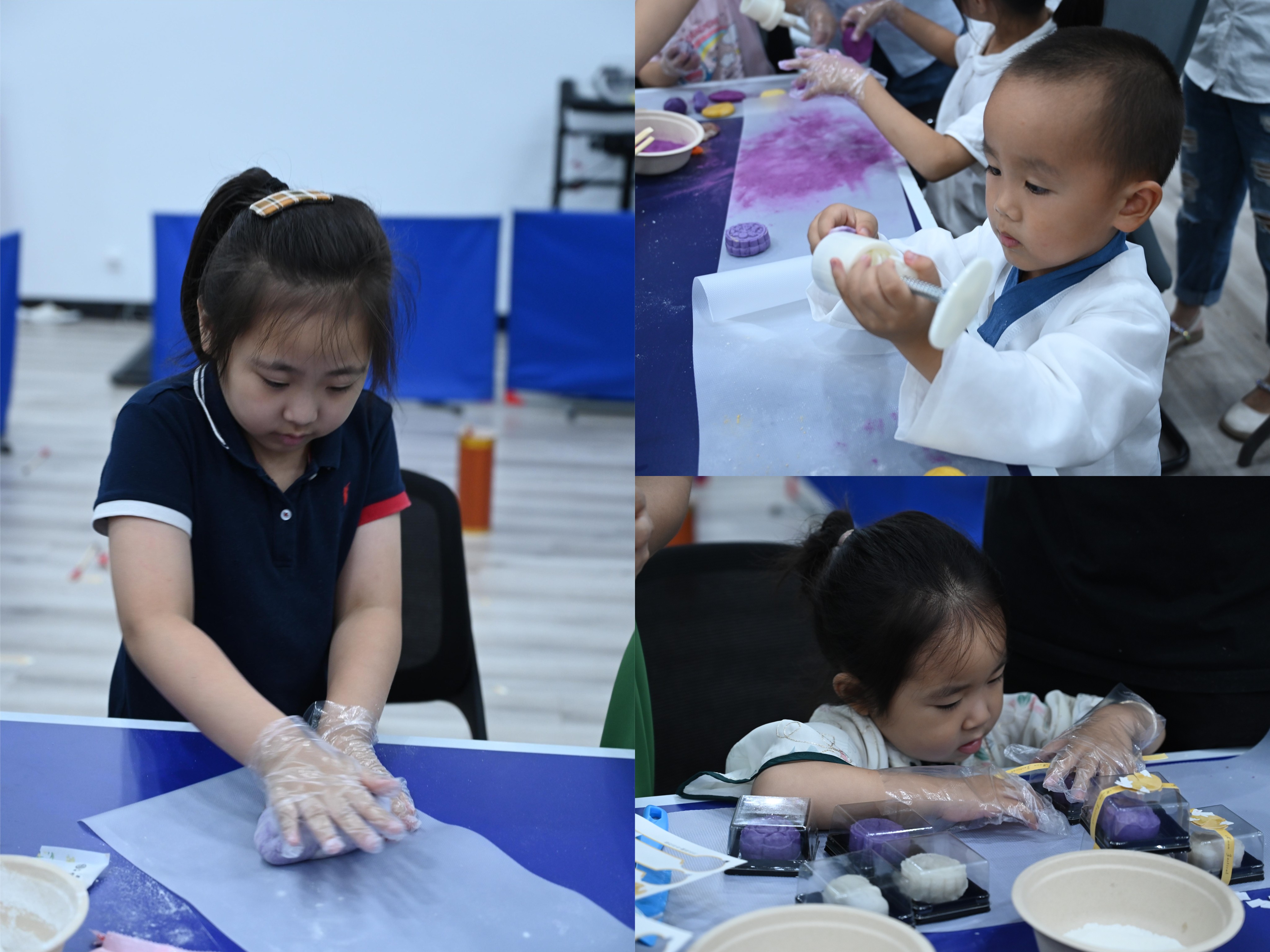 尊凯时龙(中国区)官方网站